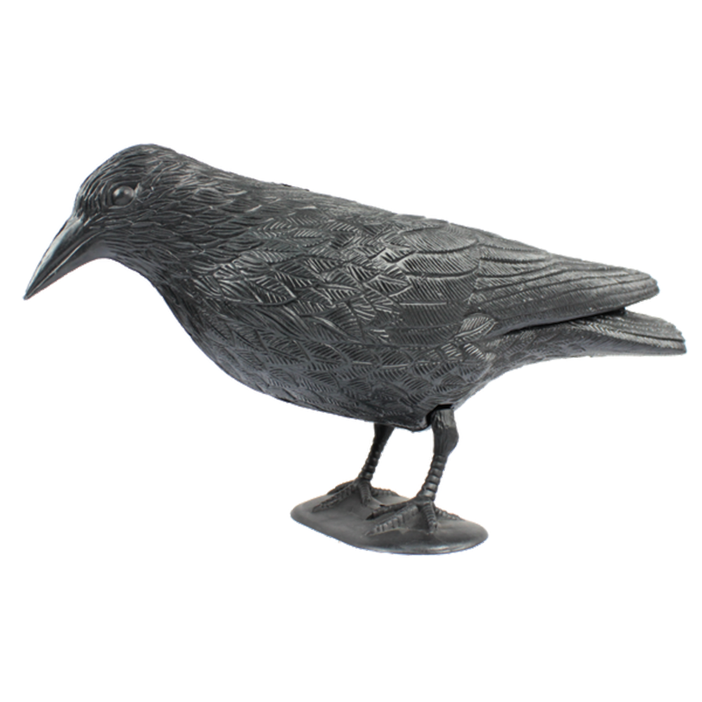 Odpuzovač ptáků – Havran