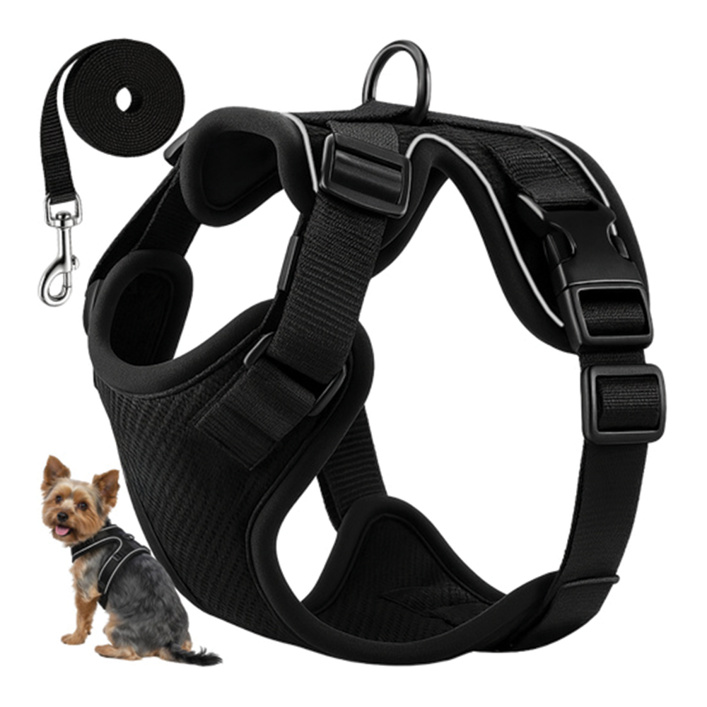 Postroj pro psa vel. S, černý