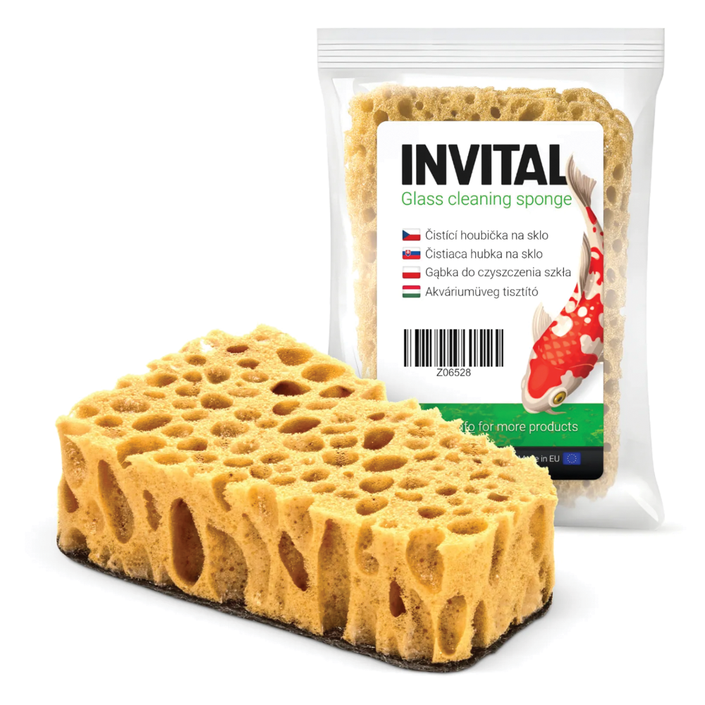 Čistící houba na sklo